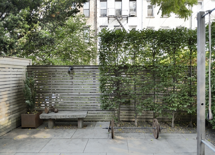 décoration extérieure idée installation cloture brise vue en bois avec plantes grimpantes intimité cache vis à vis jardin