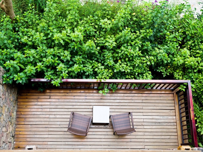 décoration terrasse en bois design extérieur meubles en bois haie de jardin cache vue vis à vis mur végétal arbustes arbres