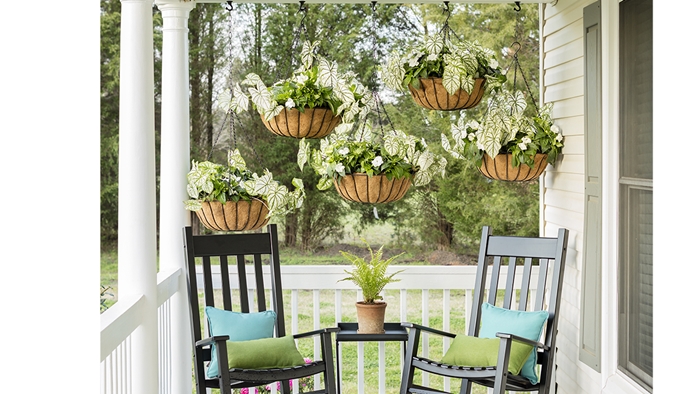 décoration véranda avec jardinière brise-vue suspendue meubles extérieur chaise bois foncé petite table café coussins turquoise