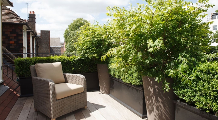 haie de jardin aménagement petite terrasse bois mur végétal cache vue vis à vis gros pots fleurs jardinière balcon arbustes