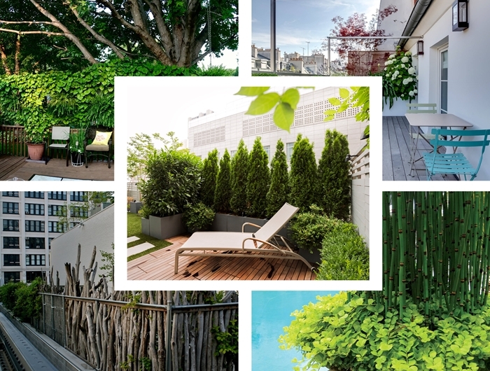 idee comment decorer son balcon ou terrasse cache vis a vis avec plantes mur vegetal plante brise vue balcon et jardin