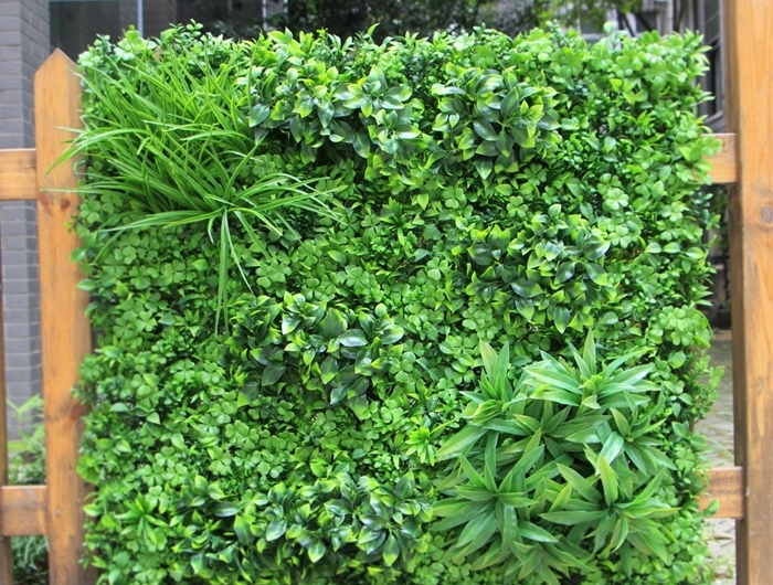 jardinage décoration clôture en bois avec plantes grimpantes espèces vivaces brise vue jardin facile verdure déco extérieure
