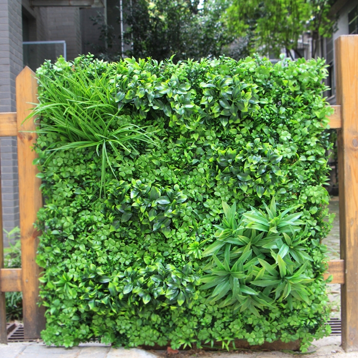jardinage décoration clôture en bois avec plantes grimpantes espèces vivaces brise vue jardin facile verdure déco extérieure