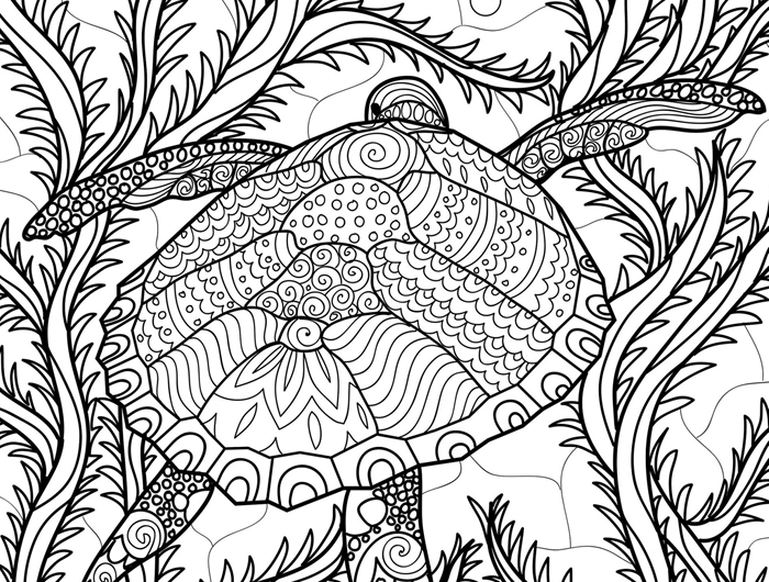 mandala dessin a colorier et a imprimer végétation océan mer vacances été aventure tortue marine plantes aquatiques