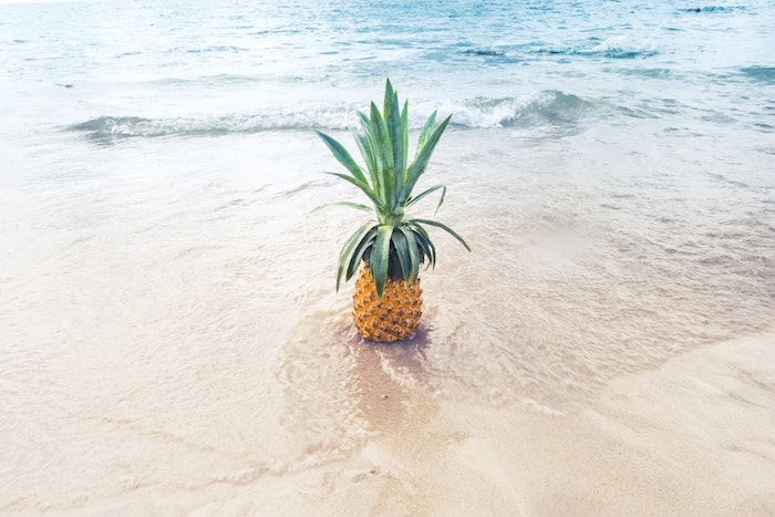 parfum pour homme pour l ete idee top 5 parfums ananas au bord de la mer symboles de l ete