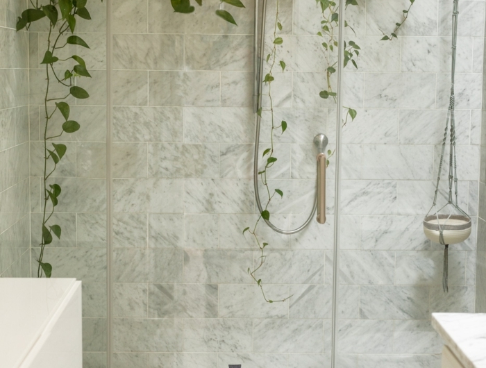 plantes muraux douche italienne murs marbre lavabo meuble