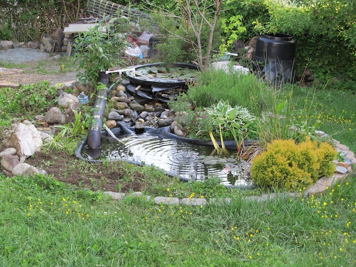 amenagement bassin de jardin petite taille avec bâche bassin et bassin cascade préformée végétation florissante autour