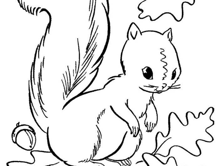animal de forêt nature automne page à colorier blanc et noir pour enfants dessin écureuil glands et feuilles coloriage 3 ans