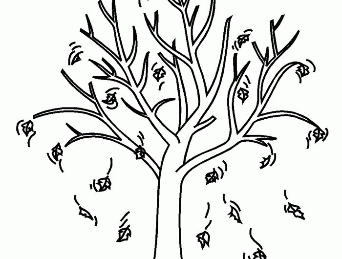 arbre automne dessin blanc et noir détails coloriage simple pour enfant page à colorier sur thème nature feuilles automne