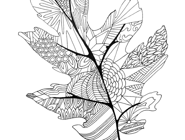 art page coloriage pour adultes motifs feuilles mandala détails dessin blanc et noir feuille d automne à colorier lignes