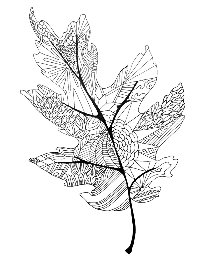 art page coloriage pour adultes motifs feuilles mandala détails dessin blanc et noir feuille d automne à colorier lignes