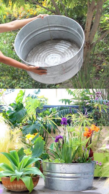 bassine en zinc pour creer un bassin de jardin hors sol simple en conteneur avec des plantes aquatiques