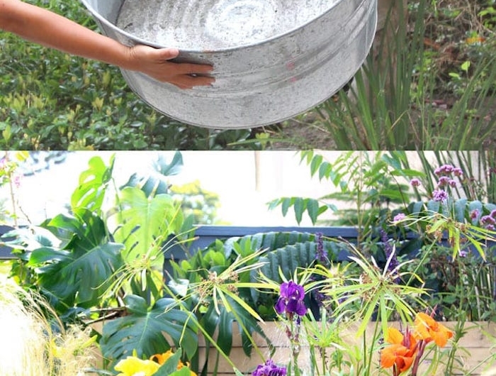 bassine en zinc pour creer un bassin de jardin hors sol simple en conteneur avec des plantes aquatiques