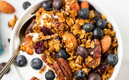 bol au yaourt pour petit dejeuner constituée de flocons d avoine amandes noix de pecan pepites de chocolat et fruits secs
