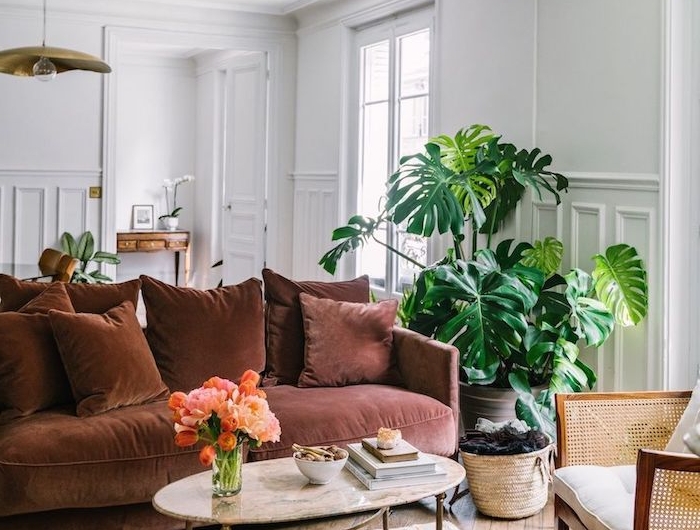 canapé marron clair table basse marbre plante verte en pot minstera d interieur murs blancs décoration salon appartement contemporain