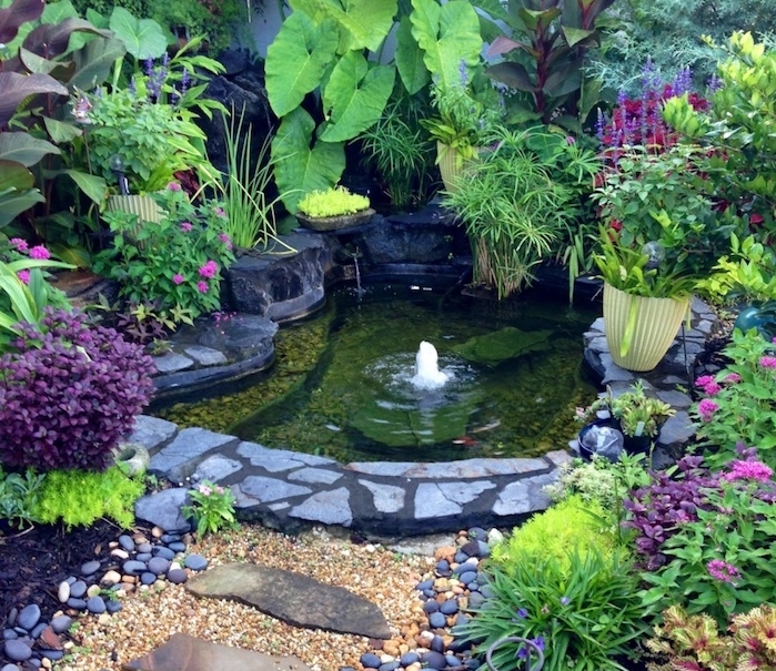 83 idées de BASSIN POISSON  jardin d'eau, bassin de jardin, amenagement  jardin