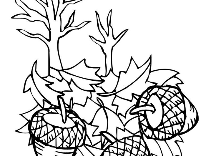 coloriage 3 ans arbre forêt nature automne dessin blanc et noir à colorier pour enfant plan dessin facile glands arbres