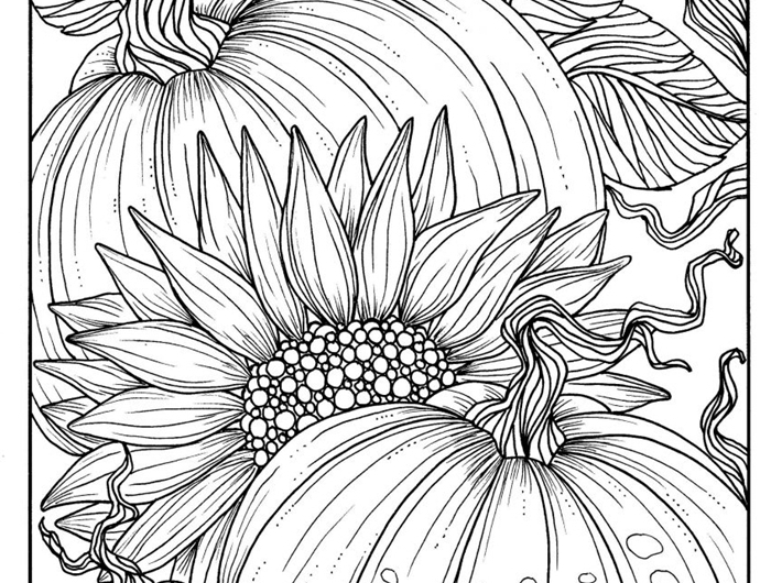 coloriage d automne pour adulte dessin blanc et noir à colorier dessin citrouilles d automne fleurs gros tournesol nature