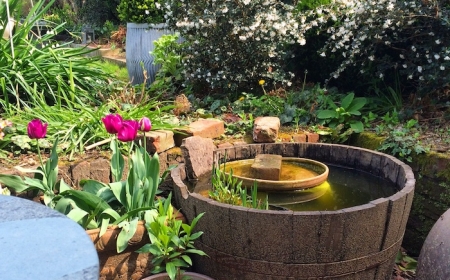 petit bassin de jardin