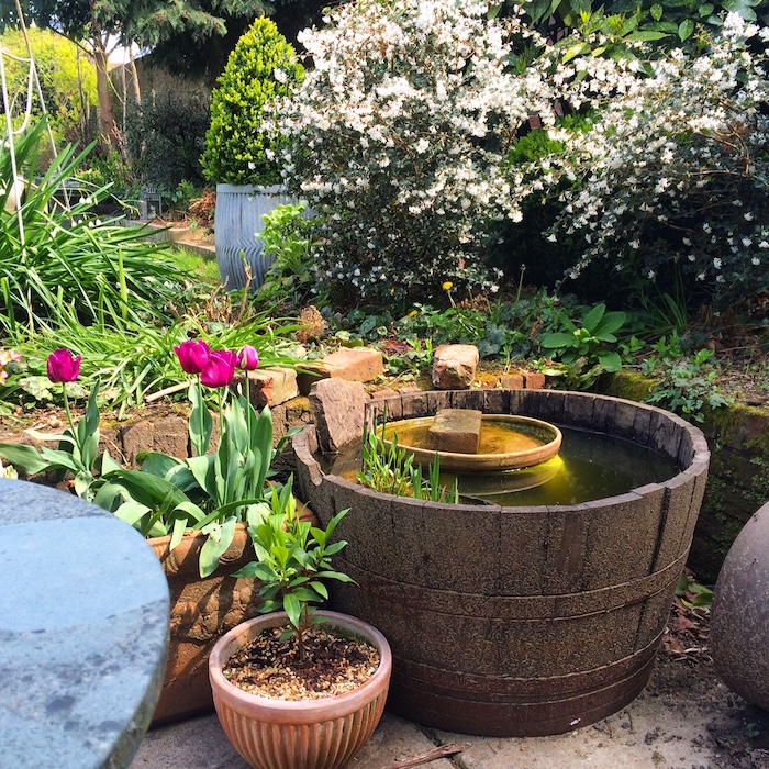 decoration bassin exterieur en bassine vintage avec quelques végétaux tulipes et autres plantes de jardin autour amenagement cour arriere