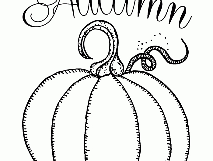 dessin de citrouille facile détails coloriage simple pour enfant lettres automne coloriage automne maternelle facile motif