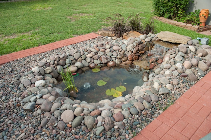 exemple de bassin d ornement peu profond entourée de pierres dans l arrière cour d une maison