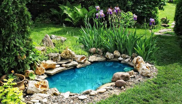 exemple de bassin enterré entouré de pierres de tailles variées avec vegetation autour au centre d in pelouse de jardin