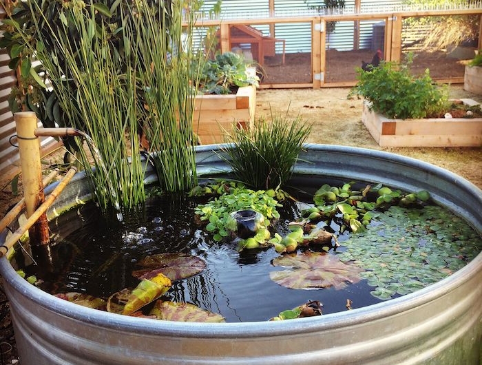 exemple de bassine en zinc avec des plantes quatiques variés et évier en bambou amenagement petit bassin hors sol