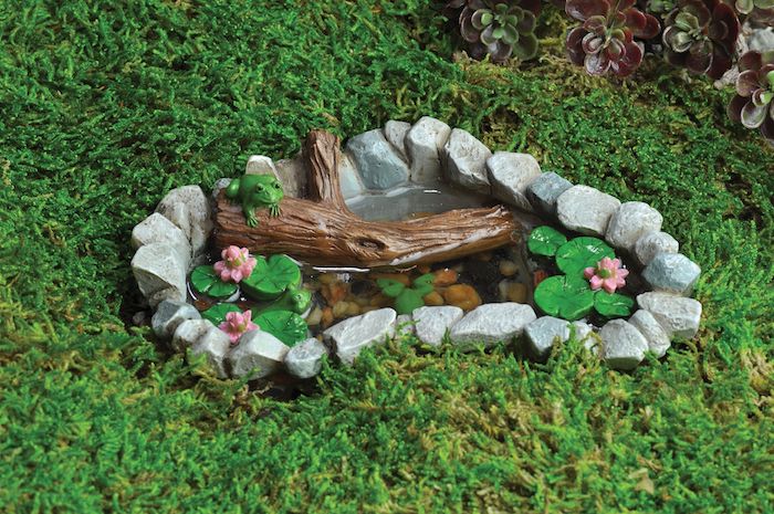 exemple mignon de petit bassin de jardin entouré de pierre avec des pierres au fond et tronc d arbre et vegetation artificielle