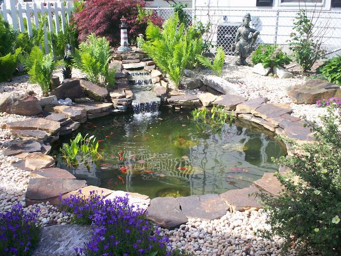 idee deco jardin japonais avec=bassin karpe koi japonais avec bordure de pierres et plusieurs vegetaux de jardin