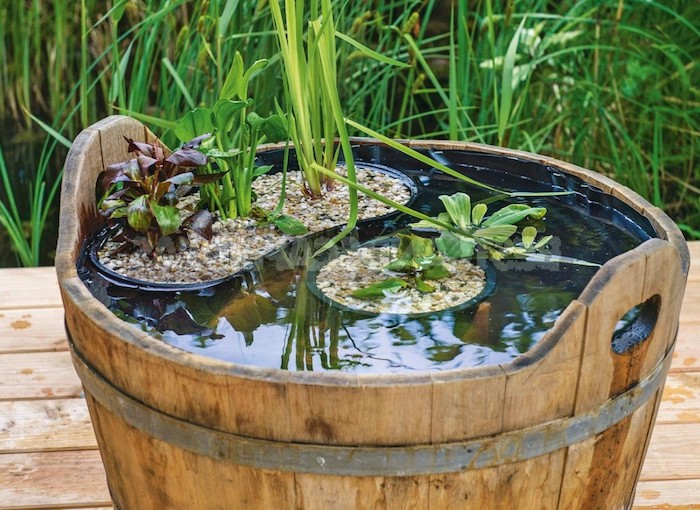 idée amenagement bassin exterieur dans bassine bois avec des pots de fleurs plantées dans gravier et végétaux verts