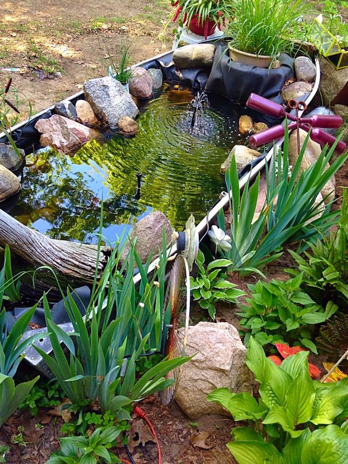 petit bassin de jardin style bateau avec pierres en bordure et des végétaux autour