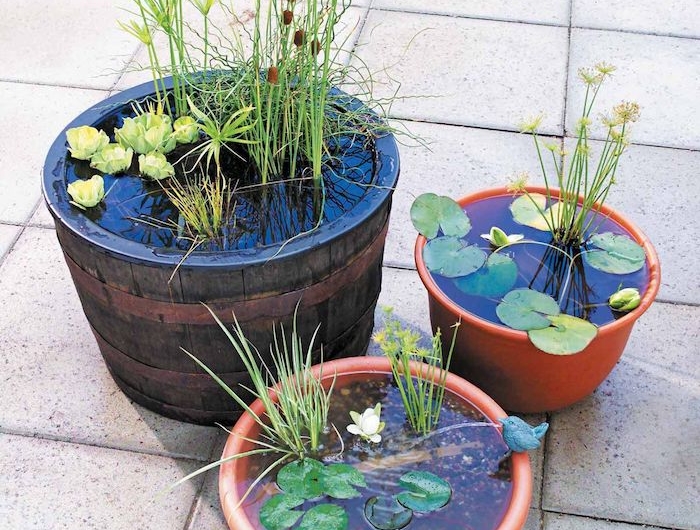 pots de fleurs transformées en bassin exterieur avec des nymphéas plantes aquatique et gravier