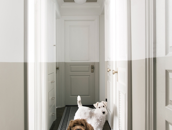 quelle couleur pourun couloir sans fenetre idée de peinture hall couleut gris perle et blanc amenagement appartement moderne