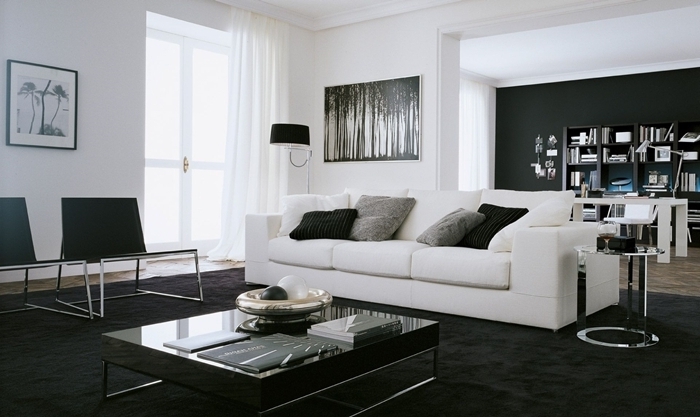 tapis gros noir table basse verre salon peinture cadre noir et blanc deco salon noir et blanc canapé blanc coussins décoratifs