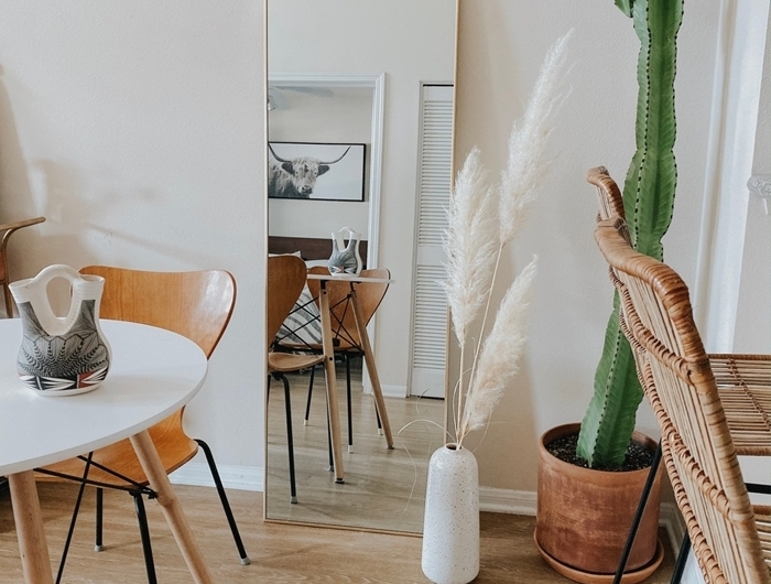cactus intérieur pot fleur terre cuite table blanc et bois chaise bois miroir deco salon boheme moderne vase blanc