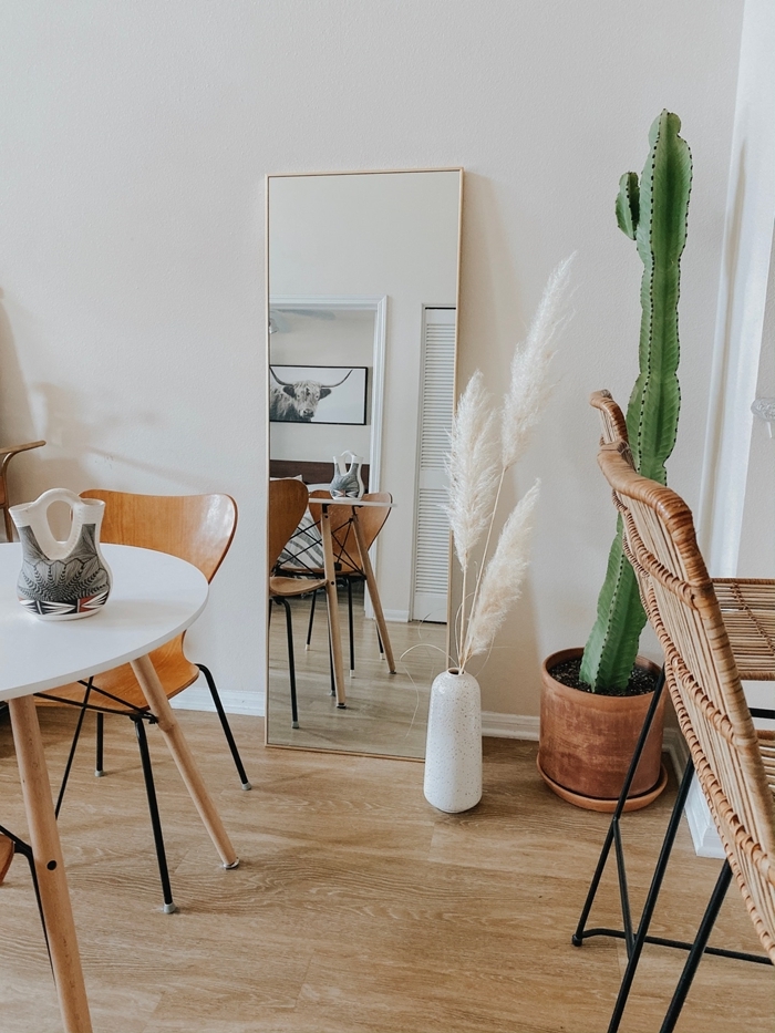 cactus intérieur pot fleur terre cuite table blanc et bois chaise bois miroir deco salon boheme moderne vase blanc
