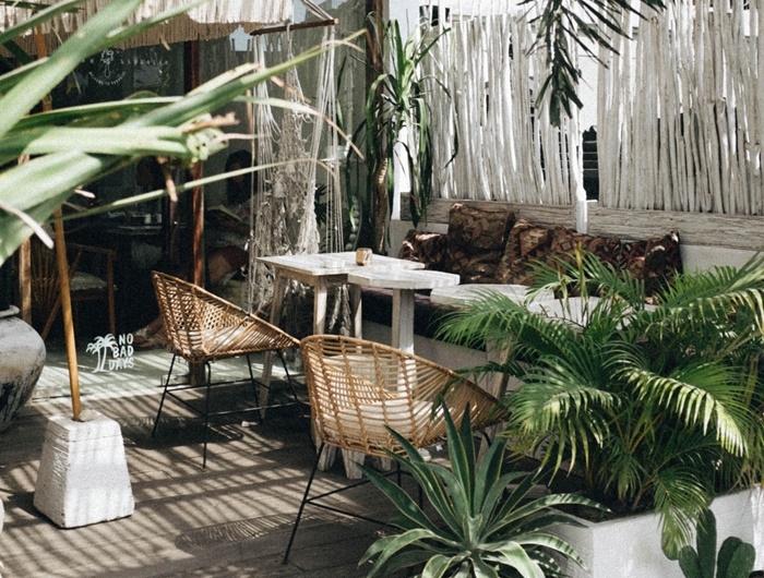chaise rotin table blanche brise vue bambou decoration exterieur cour arriere palmier jardinage