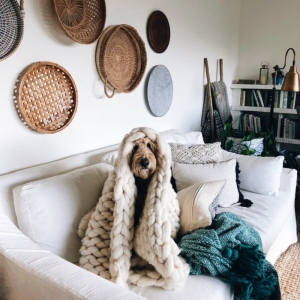 comment faire le salon plus confortable pour vois et pour le chien couleur de peinture pour salon moderne canapé blanc
