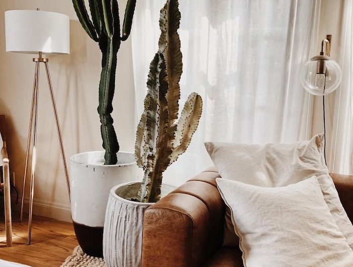 de gros pots de cactus à coté de canapé marron sur tapis tress;e0mur beige rideaux blancs