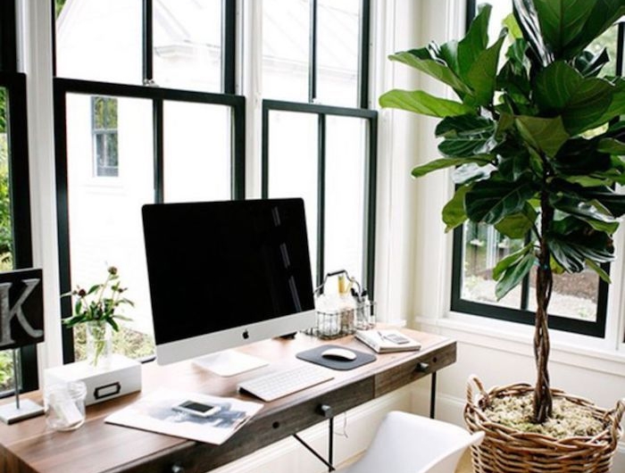 deco bureau moderne avec cadres noirs aux fenetres grandes plantes vertes et table en bois