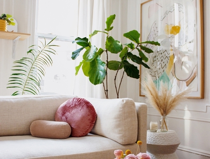 deco ethnique chic design salon blanc meubles bois canapé blanc coussin velours rose poudré plantes vertes d intérieur