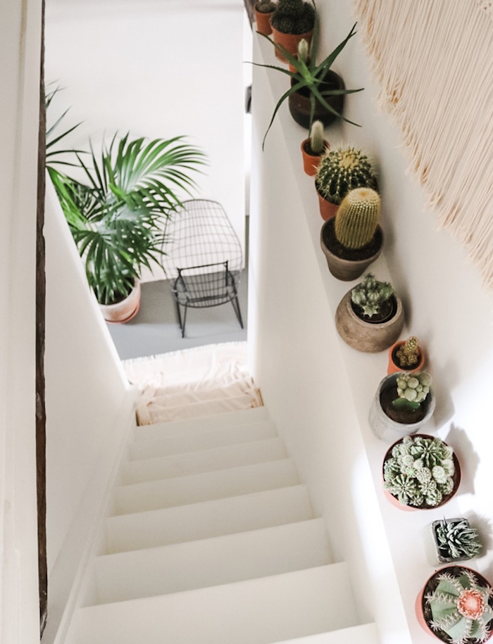 idee deco cage d escalier avec des pots cactus variés deco vegetale originale