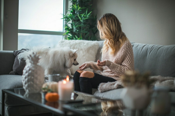 maison femme avec son chien beau fond d écran photo bougie cocooning deco cocooning salon scandinave cocooning stylé beauté