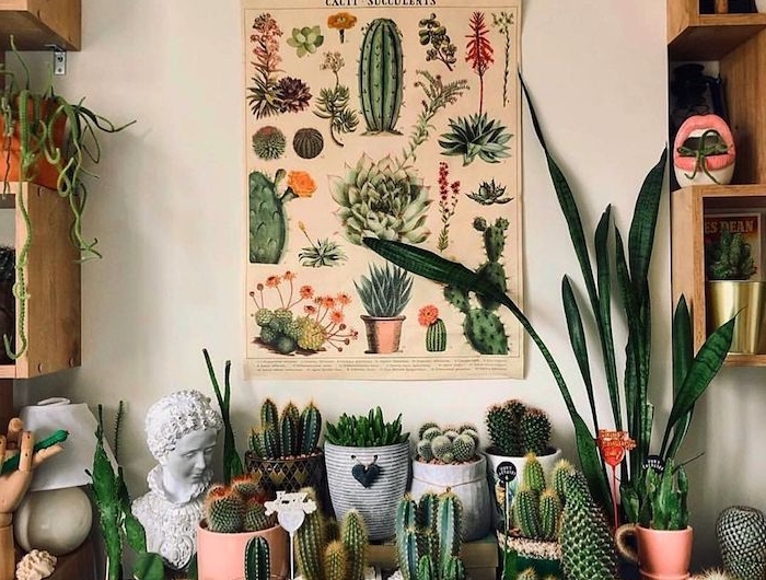 petit jardin de pots de cactus originux affiche murale cactus petite plante d intérieur verte exemple endemble deco vegetale
