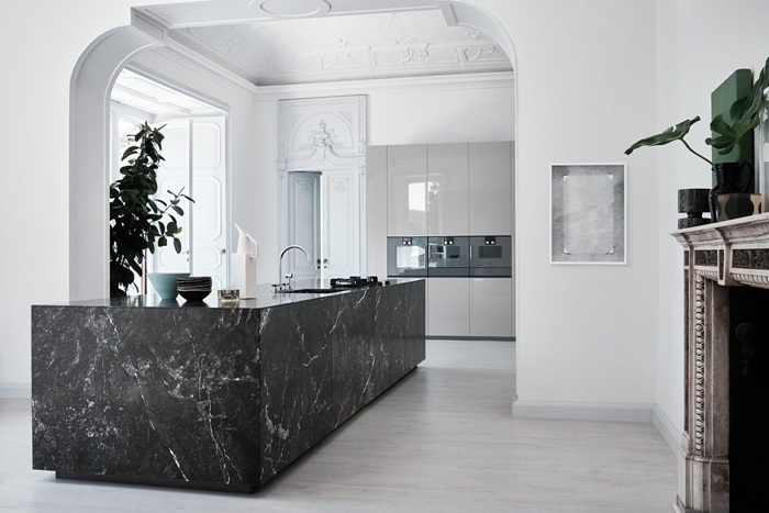 plan de travail marbre noir décoration cuisine ouverte en blanc et noir plante verte intérieur cheminée robinet inox