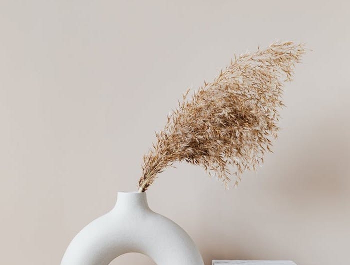 esthetique minimalste et couleurs neutres avec une vase sur meuble en merbre fond d ecran pour la pc