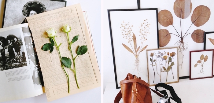 exemple herbier original a faire soi meme technique fleurs pressees page journal livre methode sechage plantes fleuries