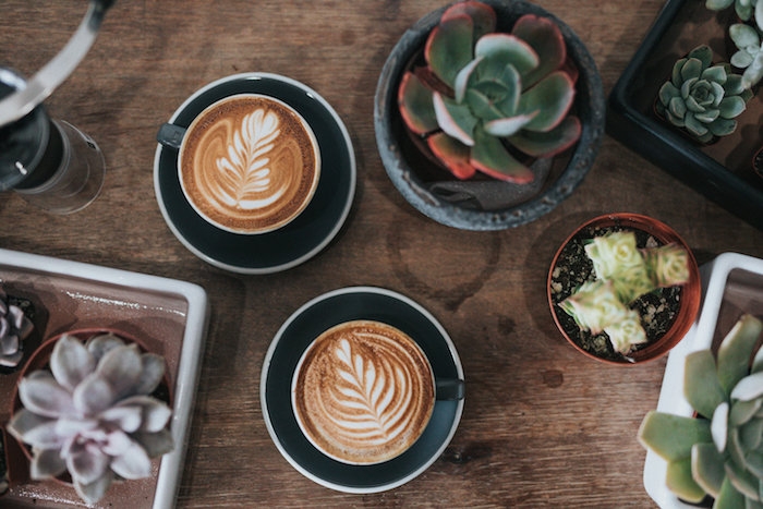 latte art des cafes avec des desins sur la mousse deux tasses sur une table en bois a cote des cactus