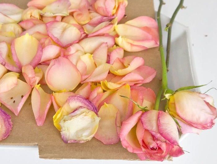 que faire avec des petales de roses comment faire secher une rose chez soi à l air libre pour embaumer son interieur